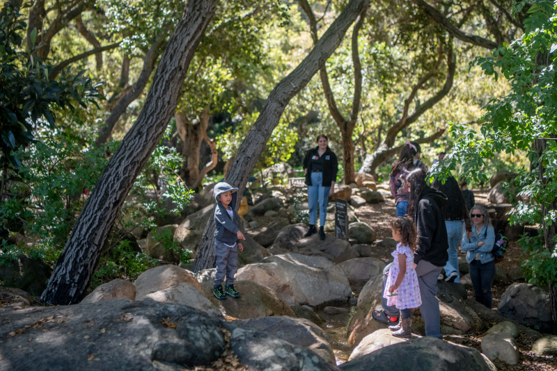 Visitors exploring the Museum's Backyard