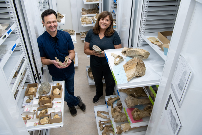 smiling paleontologists amid mammoth fossils in large metal cabinets