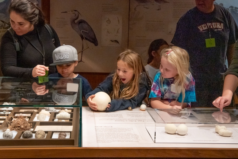 children visiting Bird Habitat Hall