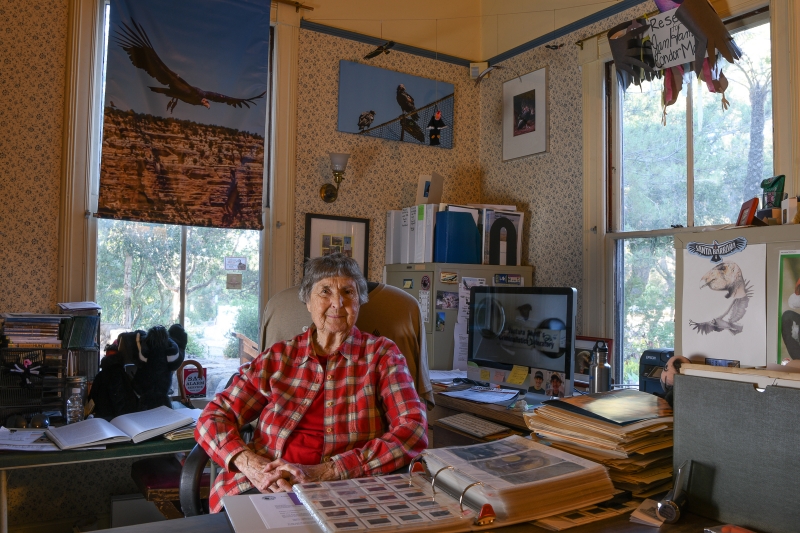 Jan Hamber in her office, surrounded by condor-related images and documents