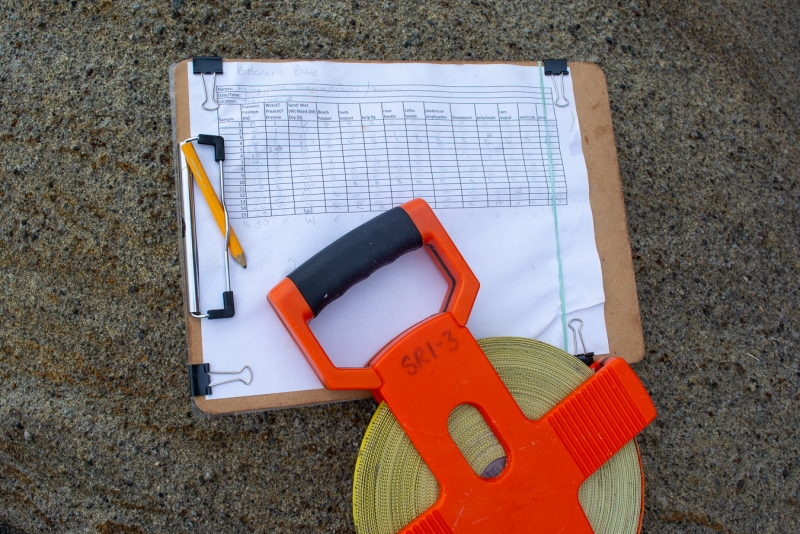 A happy datasheet with all its metadata…and meter tape for measuring out a transect