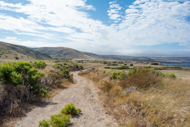 Santa Rosa Island landscape