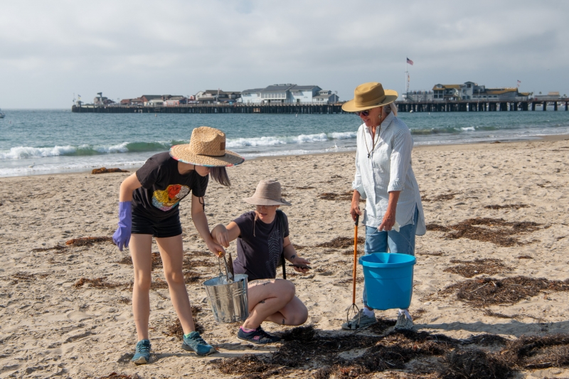 A group of people cleaning up the beach on a sunny day