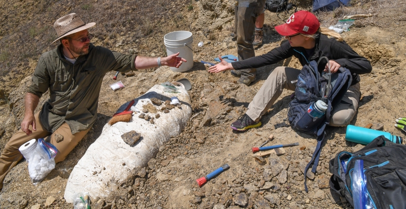 Prof. Mark Clementz and Brooke Roselle at work