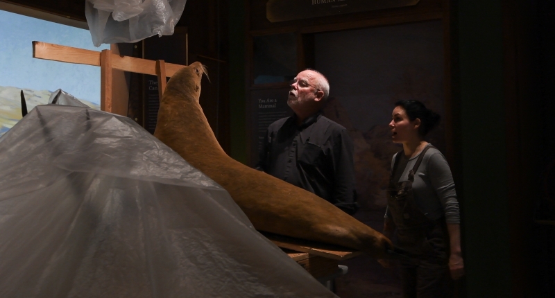 Tim Bovard and Allis Markham with female California Sea Lion