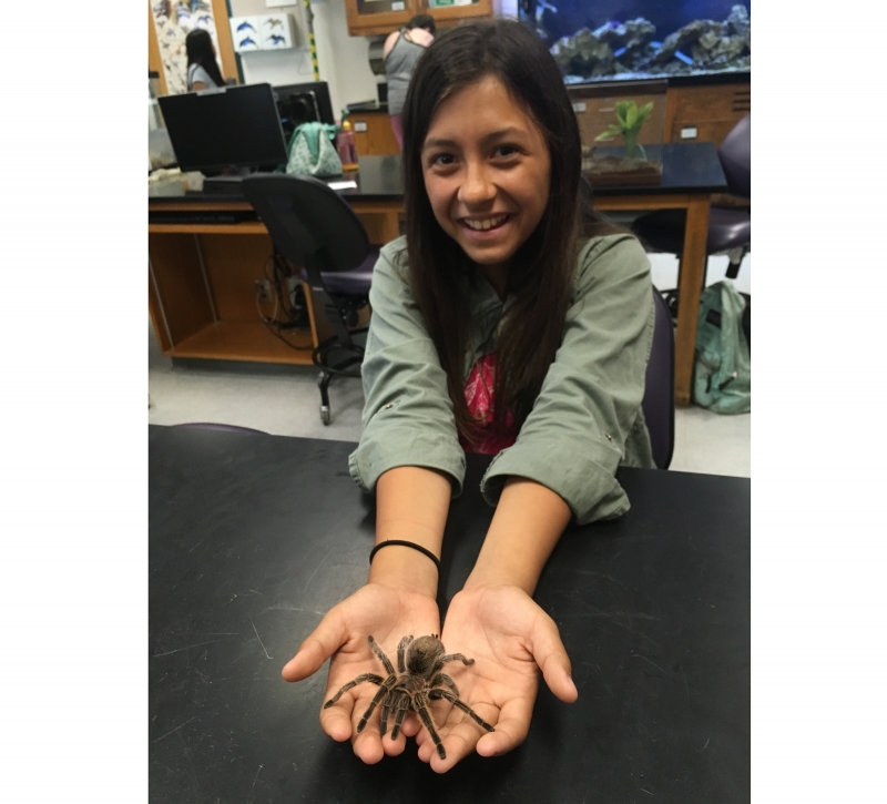 Rosie the Rose-haired Tarantula with a young fan