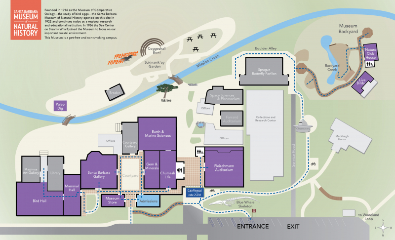 A map showing ADA-accessible paths of travel at the Museum