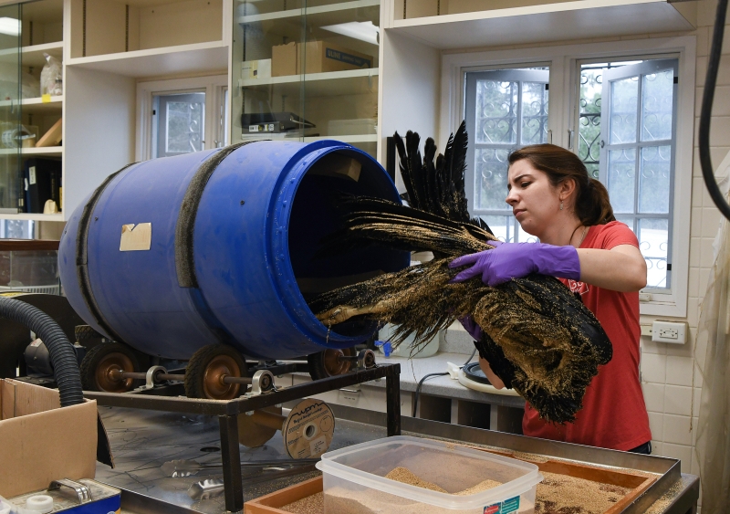 Schorr putting the skin into a special drum-shaped tumble dryer