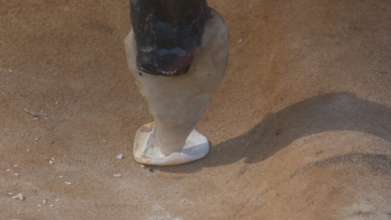 A small round piece of shell beneath the point of a milky-colored chert drill