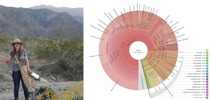 Two images side by side. At left, a young woman stands in a desert environment with purple mountains behind her. She's carrying some equipment for writing and collecting. At right, a really fancy pie chart with lots of labeled slices.