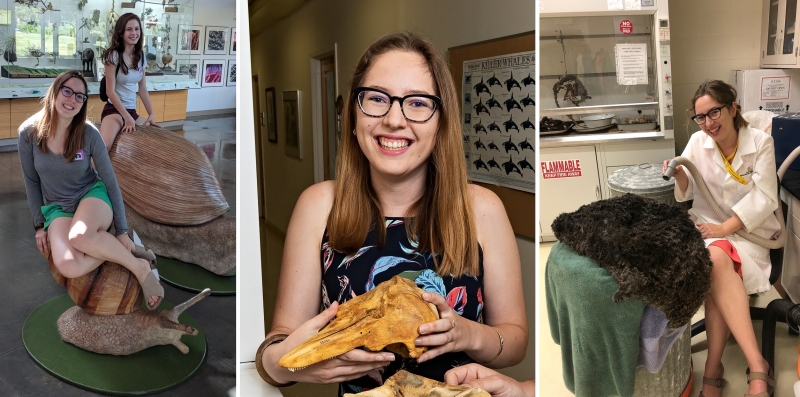 a photo collage showing a smiling friendly woman at three museums: riding a giant snail model, holding a dolphin skull, wearing a labcoat and blow drying a large, soft animal pelt