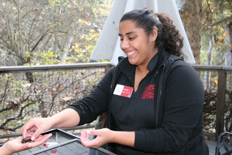 Quasar volunteering at the Museum